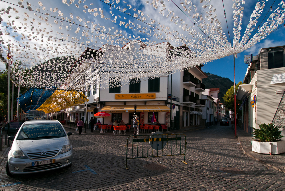 384_Madera_Ribeira Brava.jpg